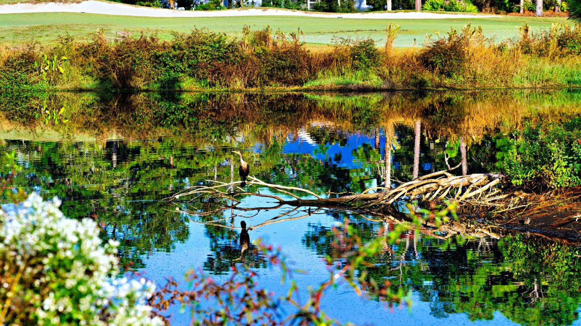 St James Bay Golf & Pickleball Resort Big Blackjack Landing Eksteriør bilde
